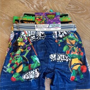 NWT Boys' Boxer Briefs Ninja Turtle Underwear 4 Pack Size 10
